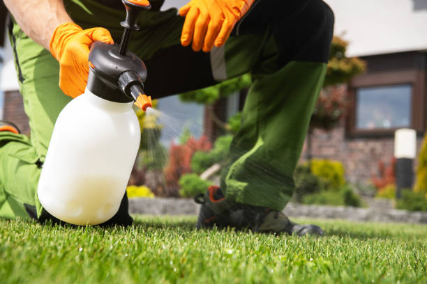 Professional Pest Control in Hialeah, FL