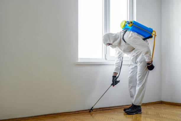 Best Rat Extermination Near Me  in Hialeah, FL