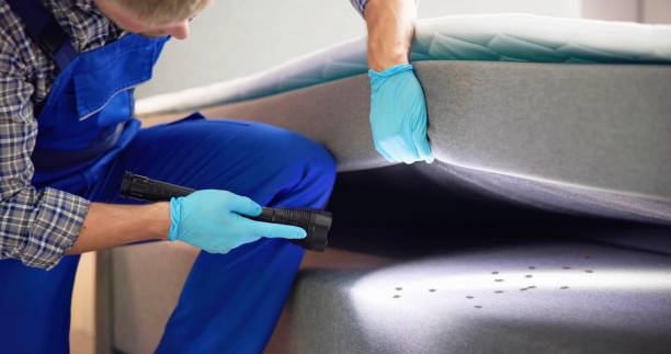 Best Wildlife Control Services  in Hialeah, FL