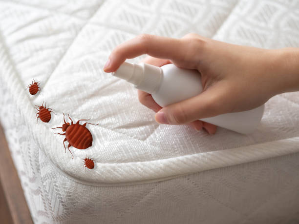 Best Affordable Pest Control Services  in Hialeah, FL