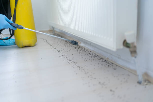 Best Best Pest Control Companies  in Hialeah, FL