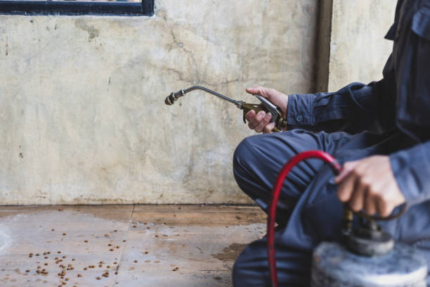 Pest Control for Restaurants in Hialeah, FL